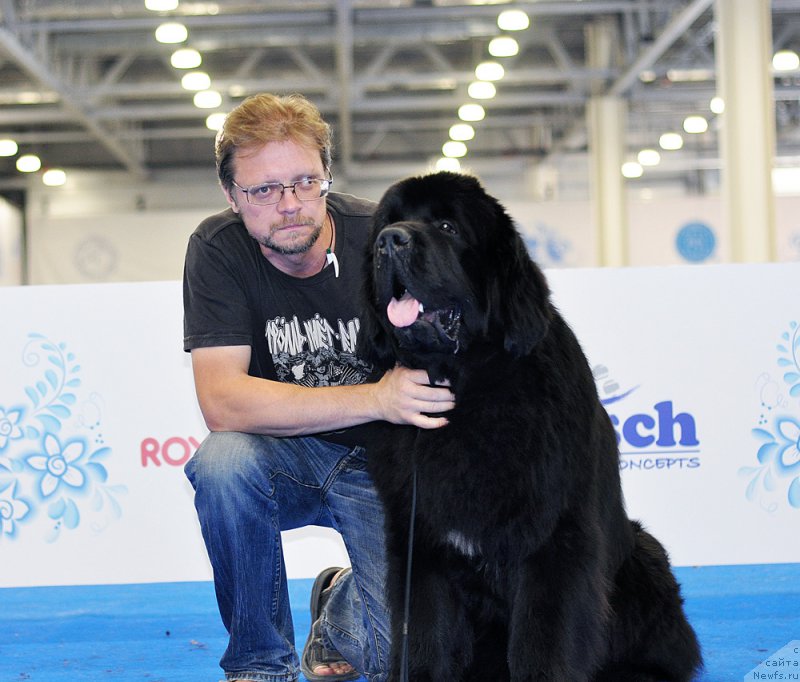 Фотография № 209426