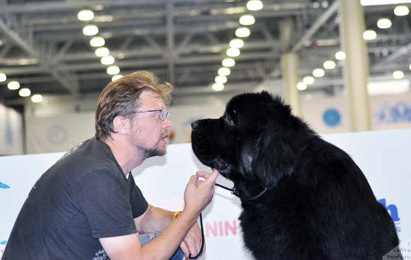 Фотография № 209428