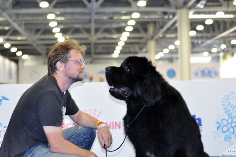 Фотография № 209429