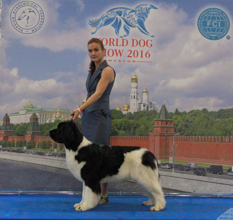 Фотография № 209436