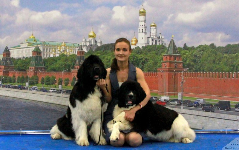 Фотография № 209439