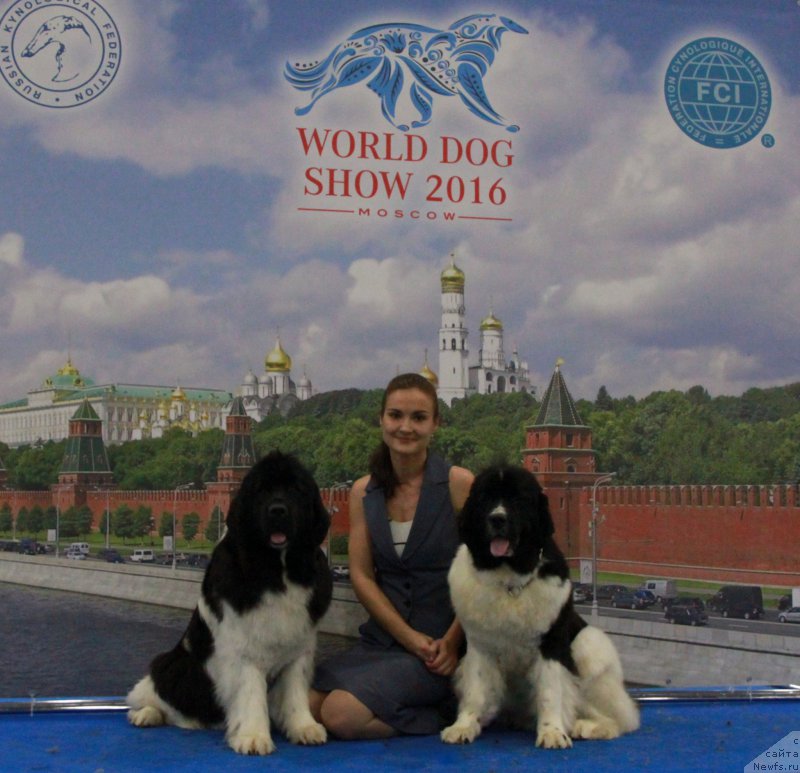 Фотография № 209440