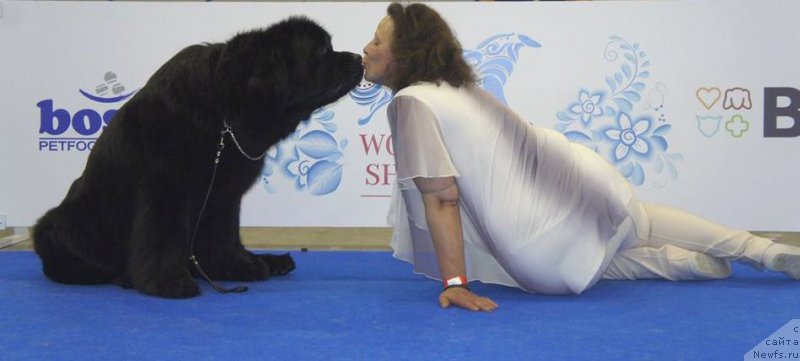 Фото: ньюфаундленд Целого Мира Мало из Аркаима (Tselogo Mira Malo iz Arkaima), Анна Ковалёва