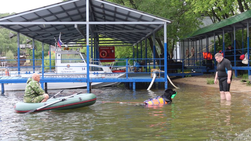 Фото: Александр Пономарёв, 