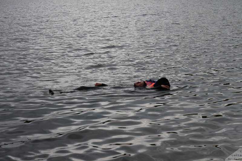 Фотография № 209471