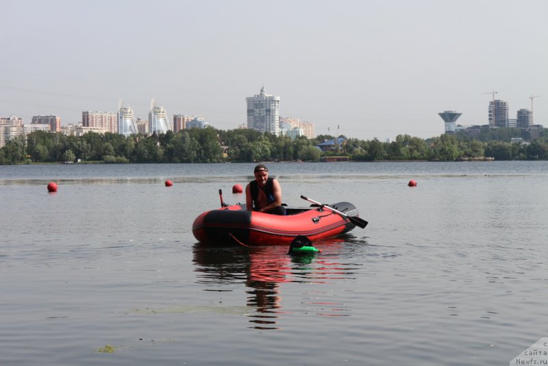 Фото: ньюфаундленд Топтыжка Герой Нашего Времени (Toptyzhka Geroy Nashego Vremeni)