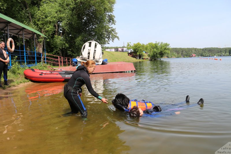 Фотография № 209486