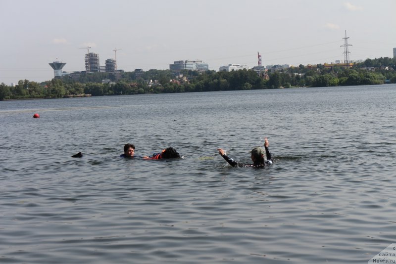 Фото: ньюфаундленд Топтыжка Галатея Морская Нереида (Toptyzhka Galatea Morskaya Nereida)