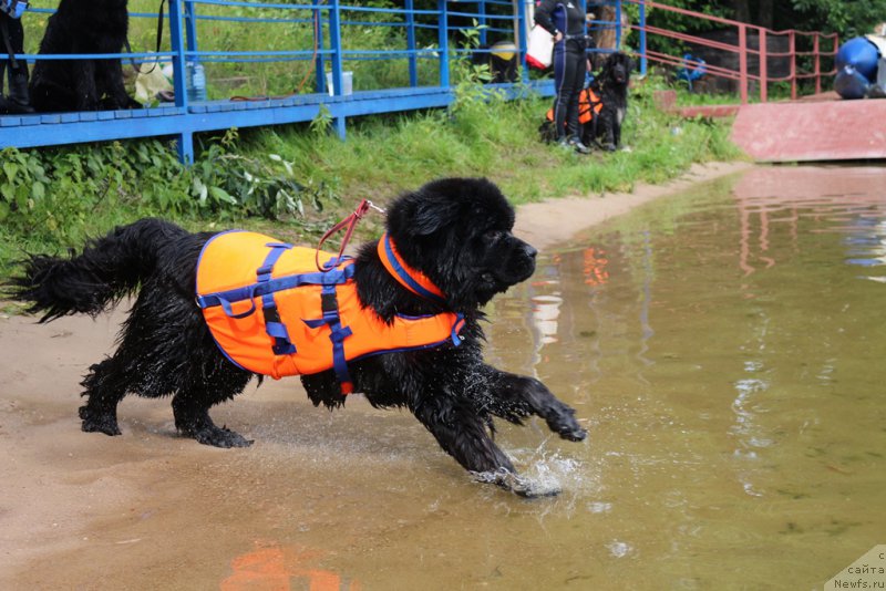 Фотография № 209499