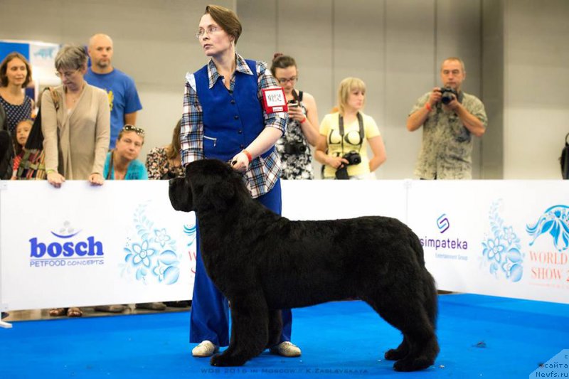 Фотография № 209508