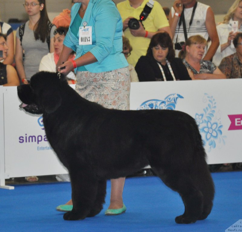 Фотография № 209510