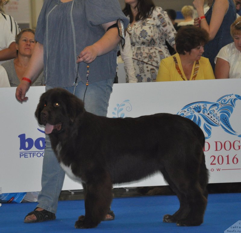 Фотография № 209513