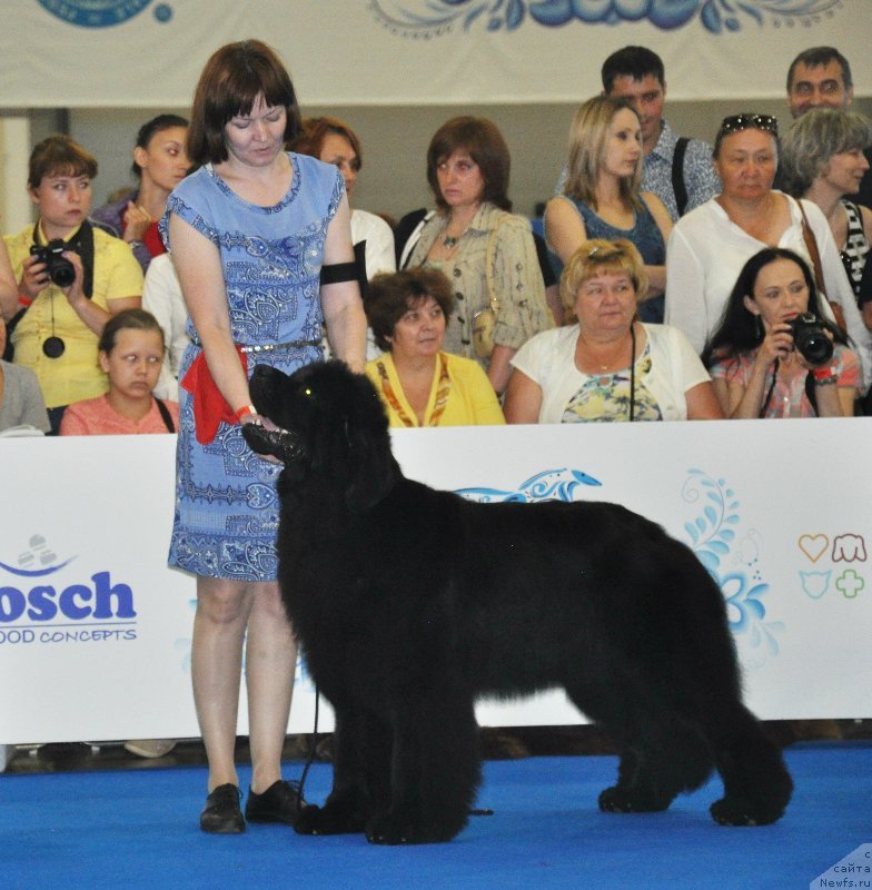 Фотография № 209535