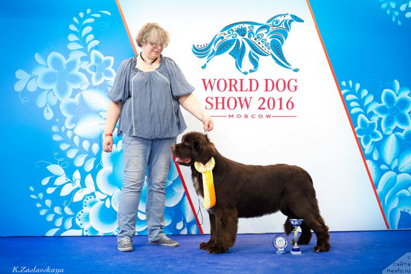 Фотография № 209537