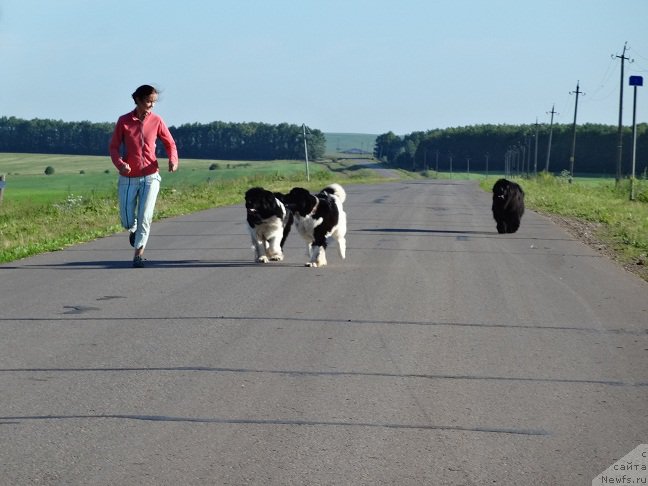 Фотография № 209538