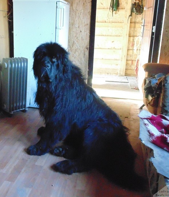 Фотография № 209551