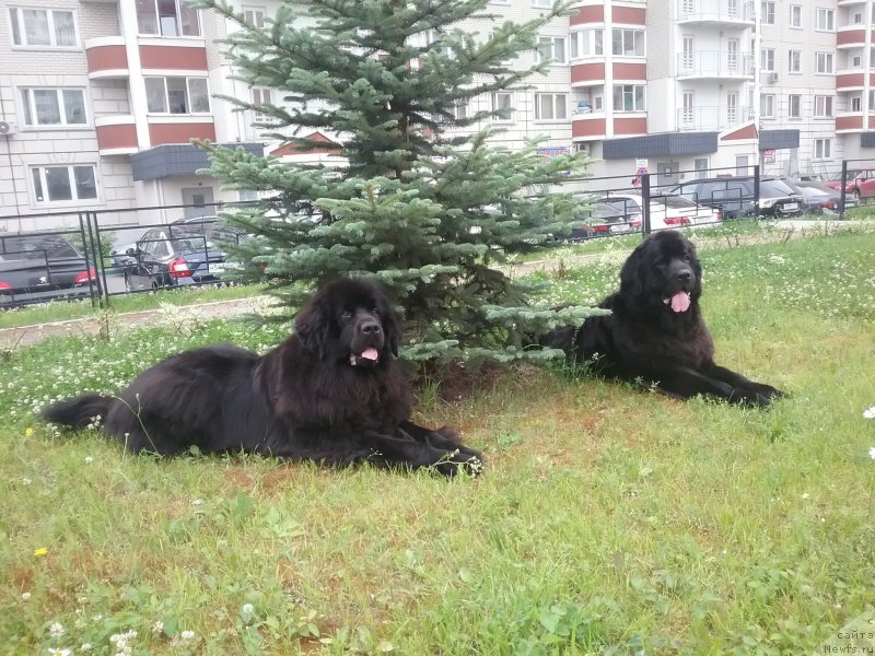 Фотография № 209555