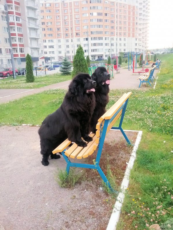 Фотография № 209558