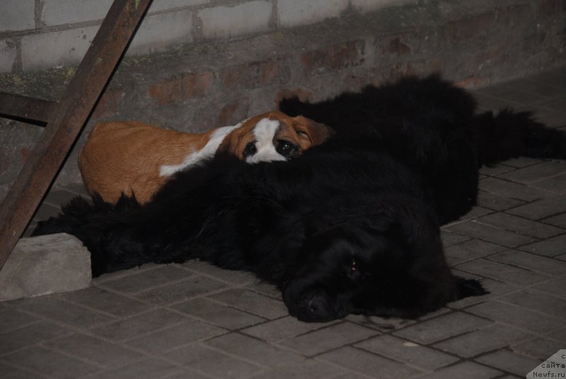 Фотография № 209560