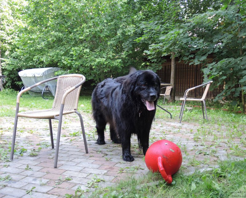 Фотография № 209586