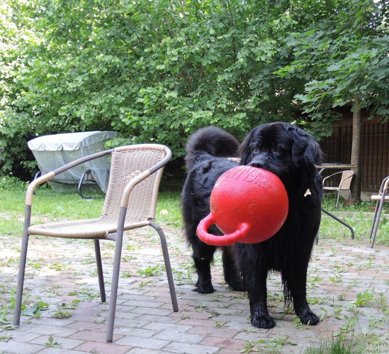 Фотография № 209587