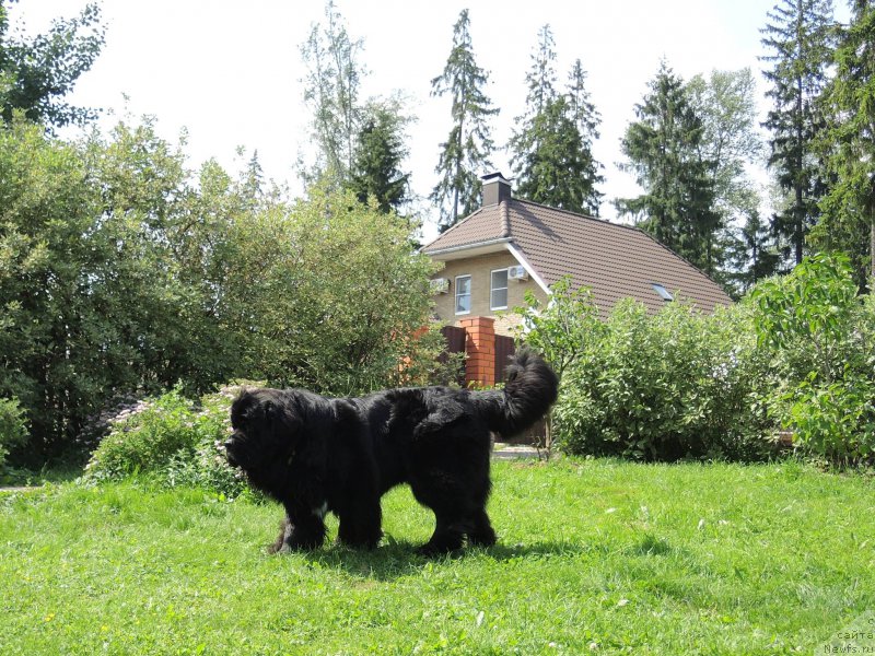 Фотография № 209588