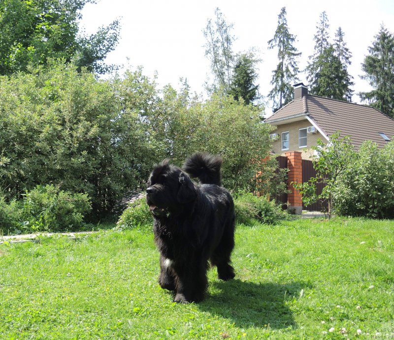 Фотография № 209589