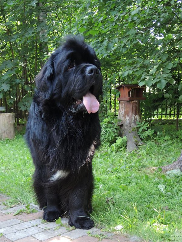 Фотография № 209590