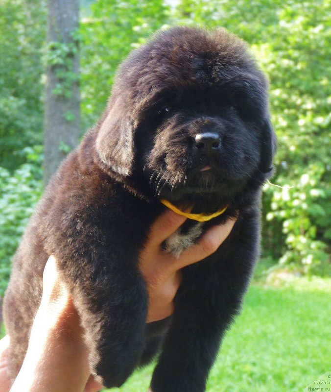 Фотография № 209624