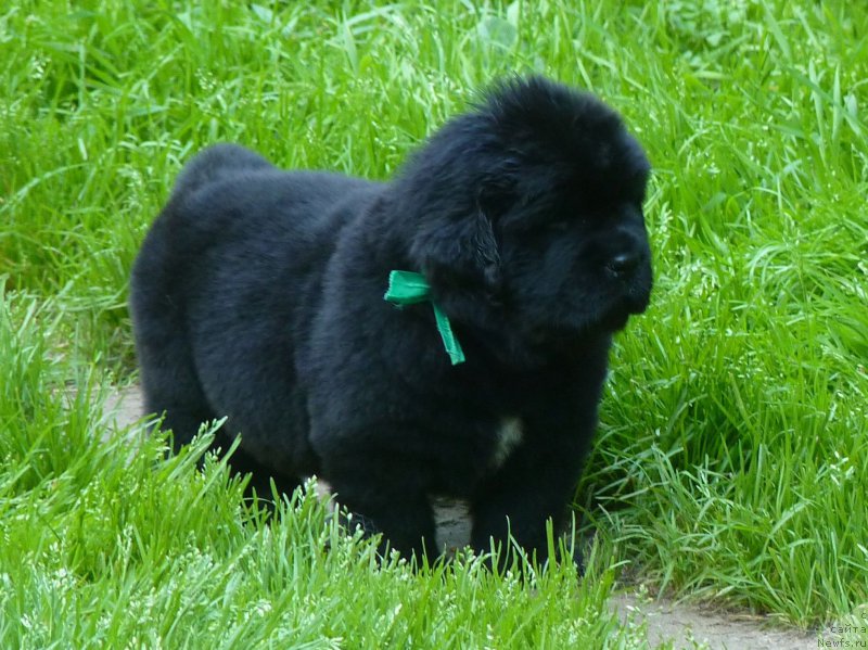 Фотография № 209631