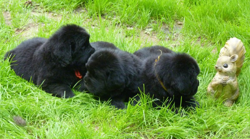 Фотография № 209639