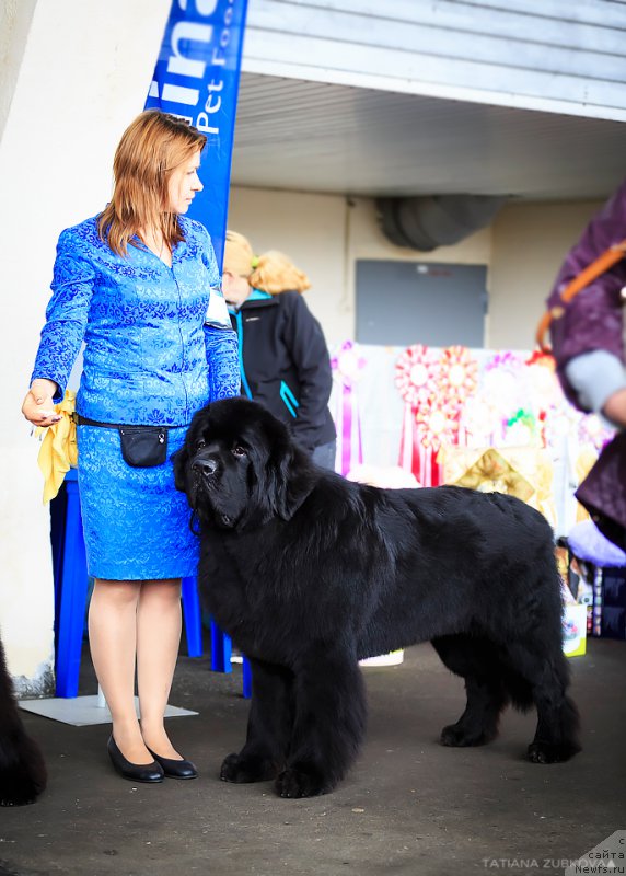 Фотография № 209660