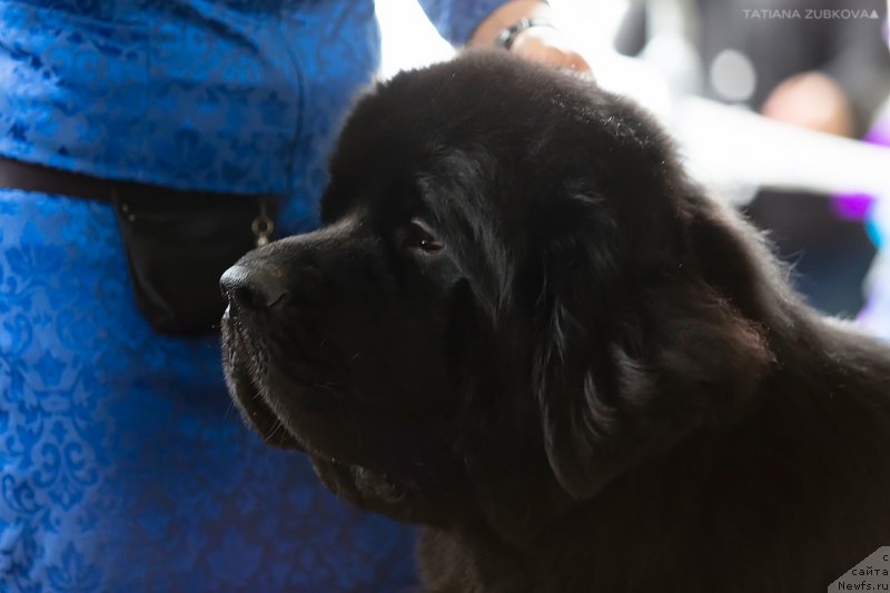 Фотография № 209662