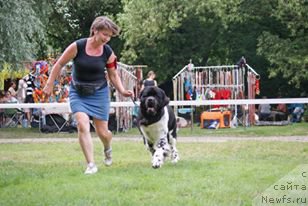 Фотография № 209667