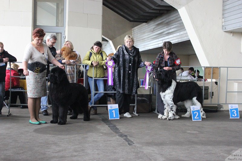 Фотография № 209675