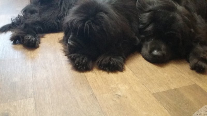 Фотография № 209679