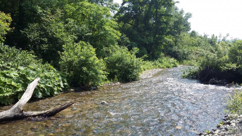 Фотография № 209680