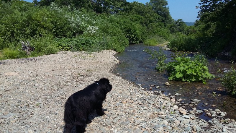 Фотография № 209682