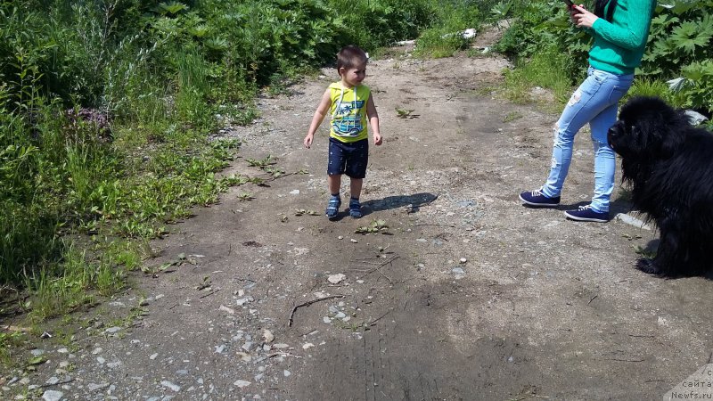 Фотография № 209683