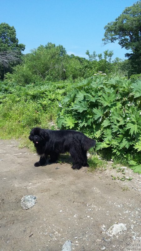 Фотография № 209685