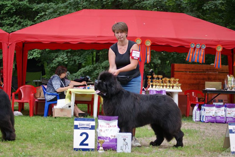 Фотография № 209689