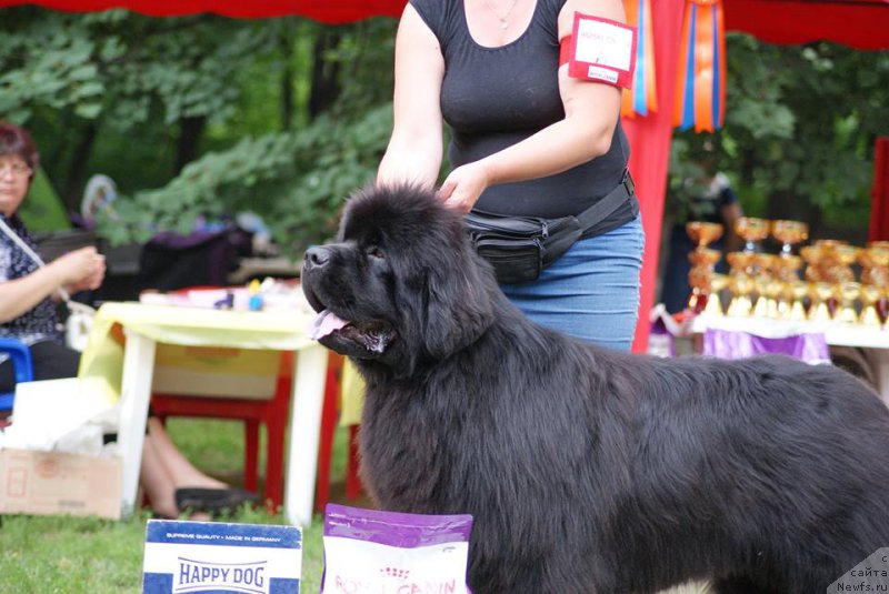 Фотография № 209690