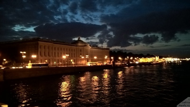 Фото: ньюфаундленд Белкондер-Клаб Белла Ренессанс (Belkonder-Club Bella Renaissance)