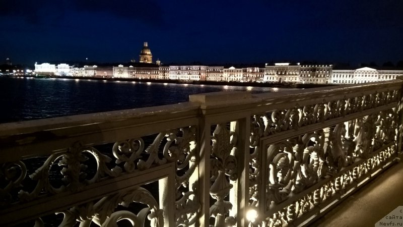 Фото: ньюфаундленд Белкондер-Клаб Белла Ренессанс (Belkonder-Club Bella Renaissance)