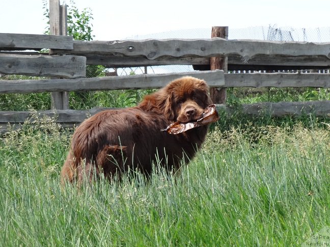 Фотография № 209731