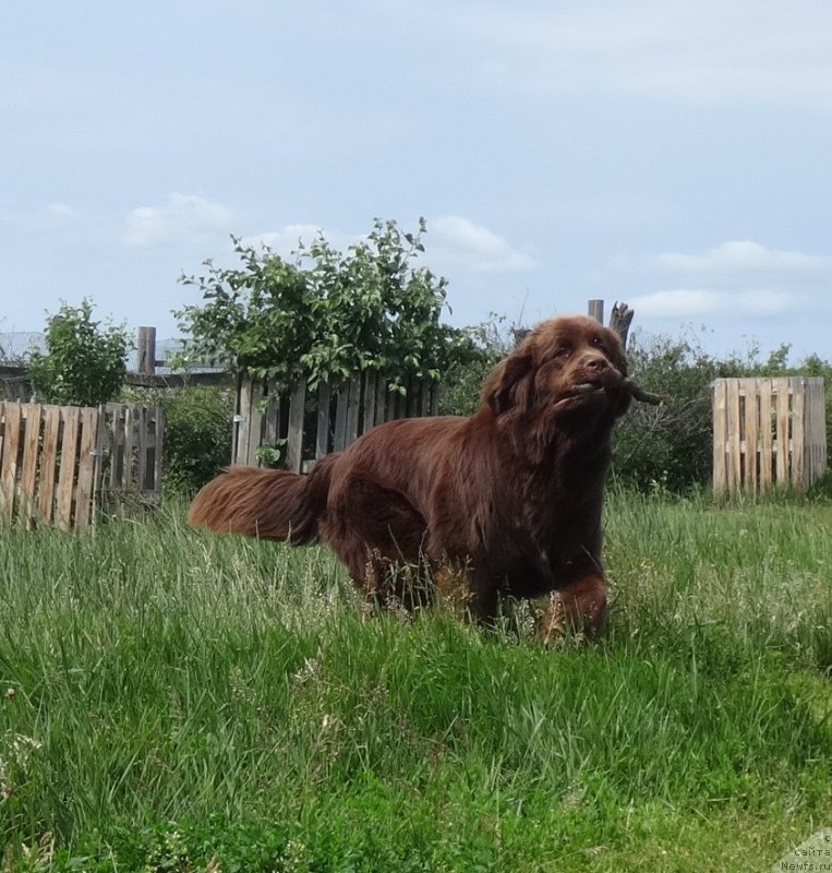 Фотография № 209734