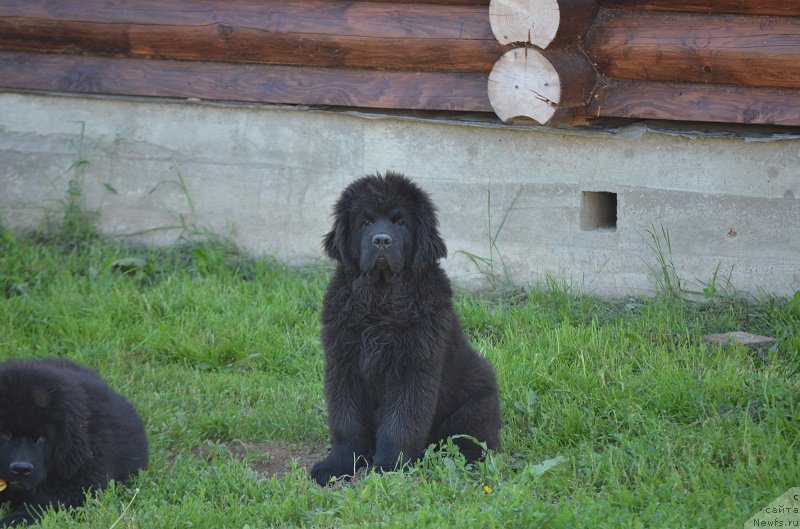 Фотография № 209755