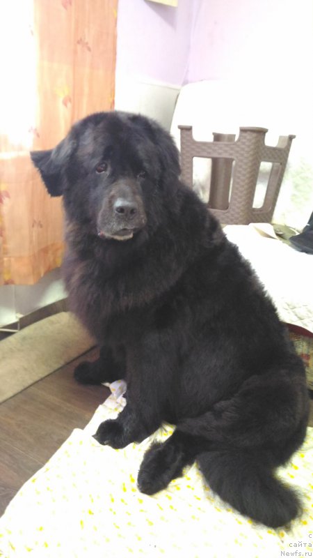 Фотография № 209763