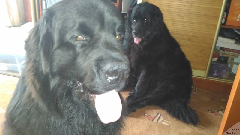 Фотография № 209764