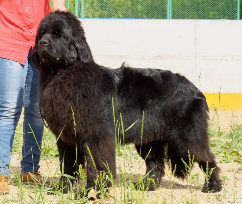 Фотография № 209766